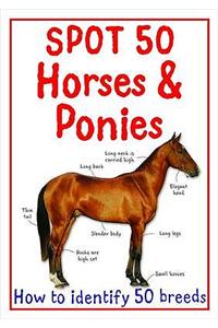 Spot 50 Horses and Ponies