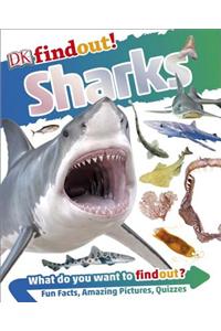 DK Findout! Sharks