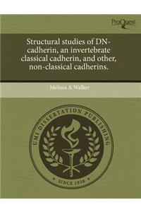 Structural Studies of Dn-Cadherin, an Invertebrate Classical Cadherin, and Other, Non-Classical Cadherins.