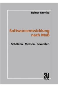 Softwareentwicklung Nach Mass