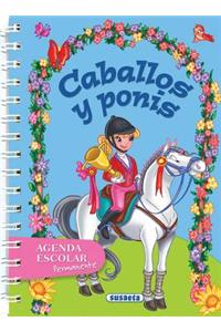 Caballos y ponis / Horses and Ponies