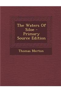 The Waters of Siloe