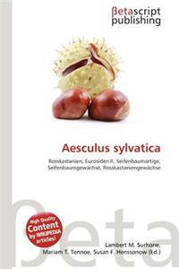 Aesculus Sylvatica