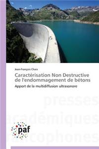 Caracterisation Non Destructive de L'Endommagement de Betons = Caracta(c)Risation Non Destructive de L'Endommagement de Ba(c)Tons