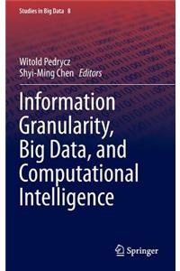 Information Granularity, Big Data, and Computational Intelligence