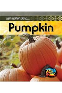 Life Cycle of a Pumpkin