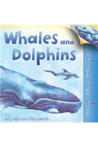 Whales and Dolphins