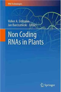 Non Coding RNAs in Plants