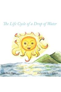 The Life Cycle Of A Drop Of Water