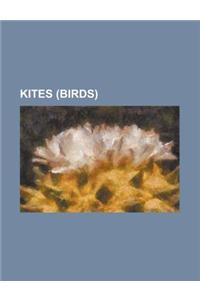 Kites (Birds): Red Kite, Black Kite, Brahminy Kite, Whistling Kite, Snail Kite, Mississippi Kite, Swallow-Tailed Kite, White-Tailed K