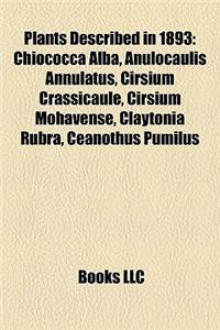 Plants Described in 1893: Chiococca Alba, Anulocaulis Annulatus, Cirsium Crassicaule, Cirsium Mohavense, Claytonia Rubra, Ceanothus Pumilus