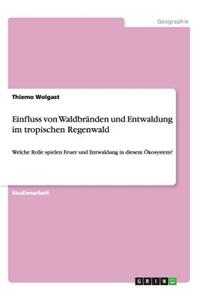 Einfluss Von Waldbranden Und Entwaldung Im Tropischen Regenwald