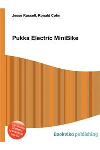 Pukka Electric Minibike