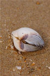 Seashell on the Beach Journal: 150 Page Lined Notebook/Diary