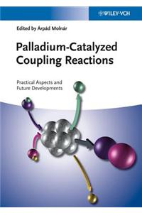 Palladium-Catalyzed Coupling Reactions: Practical Aspects and Future Developments