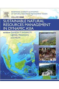Redefining Diversity and Dynamics of Natural Resources Management in Asia, Volume 1: Sustainable Natural Resources Management in Dynamic Asia