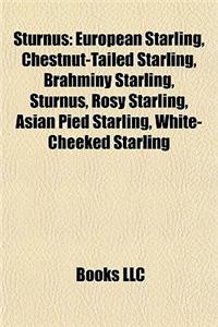 Sturnus: European Starling, Chestnut-Tailed Starling, Brahminy Starling, Sturnus, Rosy Starling, Asian Pied Starling, White-Che