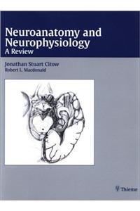 Neuroanatomy and Neurophysiology: A Review