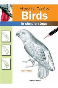 How to Draw Birds in Simple Steps