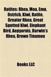 Ratites: Rhea, Moa, Emu, Ostrich, Kiwi, Ratite, Elephant Bird, Greater Rhea, Great Spotted Kiwi, Aepyornis, Darwin's Rhea, Brow