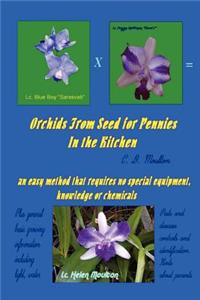 Orchids From Seed for Pennies