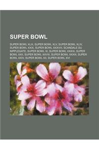 Super Bowl: Super Bowl XLIII, Super Bowl XLV, Super Bowl XLIV, Super Bowl XXIX, Super Bowl XXXVIII, Scandale Du Nipplegate, Super