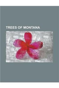 Trees of Montana: Acer Negundo, Pinus Ponderosa, Lodgepole Pine, Fraxinus Pennsylvanica, Tsuga Mertensiana, Tsuga Heterophylla