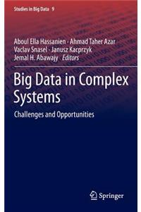 Big Data in Complex Systems: Challenges and Opportunities