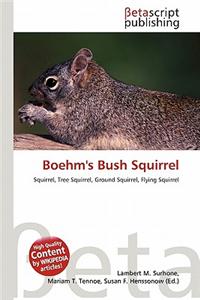 Boehm's Bush Squirrel