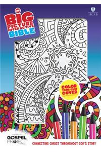 Big Picture Interactive Bible-HCSB-Cover-Your-Own-Cover for Boys
