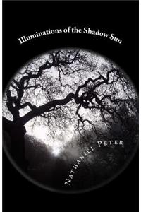 Illuminations of the Shadow Sun