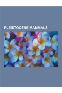 Pleistocene Mammals: Aurochs, Diprotodon, Mammoth, Megatherium, Smilodon, Machairodus, Mylodon, Homotherium, Dinofelis, Paranthropus, Deino