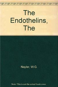Endothelins, The