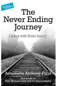 The Never Ending Journey