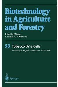 Tobacco BY-2 Cells