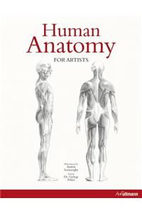 Human Anatomy for Artists