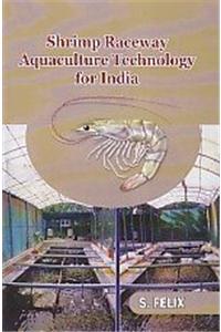 Shrimp Raceway Aquaculture Technology for India