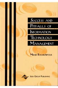 Success and Pitfalls of IT Management