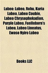 Labeo: Rohu, Kuria Labeo, Labeo Coubie, Labeo Chrysophekadion, Purple Labeo, Fuelleborn's Labeo, Labeo Lineatus, Ewaso Nyiro