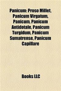 Panicum: Proso Millet, Panicum Virgatum, Panicum, Panicum Antidotale, Panicum Turgidum, Panicum Sumatrense, Panicum Capillare