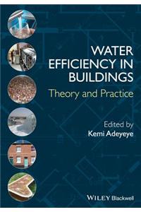 Water Efficiency in Buildings: Theory and Practice