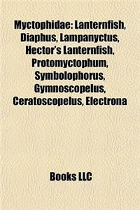 Myctophidae: Lanternfish, Diaphus, Lampanyctus, Hector's Lanternfish, Protomyctophum, Symbolophorus, Gymnoscopelus, Ceratoscopelus,