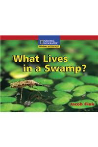 What Lives in a Swamp