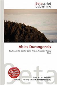 Abies Durangensis