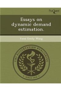 Essays on Dynamic Demand Estimation.