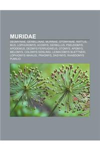 Muridae: Deomyinae, Gerbillinae, Murinae, Otomyinae, Rattus, Mus, Lophuromys, Acomys, Gerbillus, Pseudomys, Apodemus, Deomys Fe