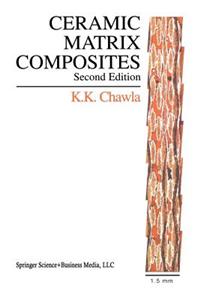 Ceramic Matrix Composites: Second Edition