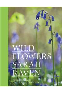 Sarah Raven's Wild Flowers