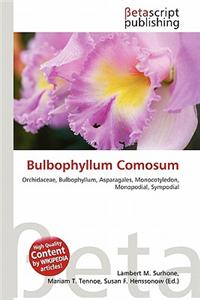 Bulbophyllum Comosum