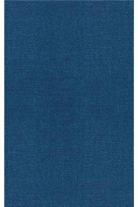 Handbook of Pattern Recognition and Image Processing